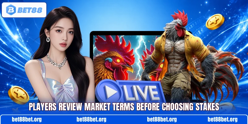 Players review market terms before choosing stakes
